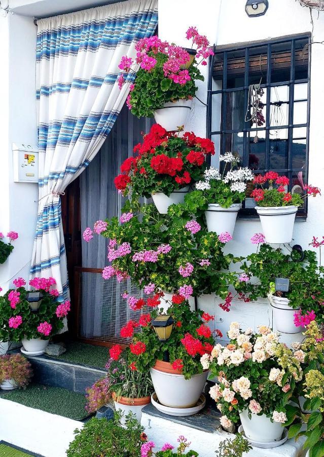 Apartmán Casa Alhambra - Centro Historico Con Jardin Privado Granada Exteriér fotografie