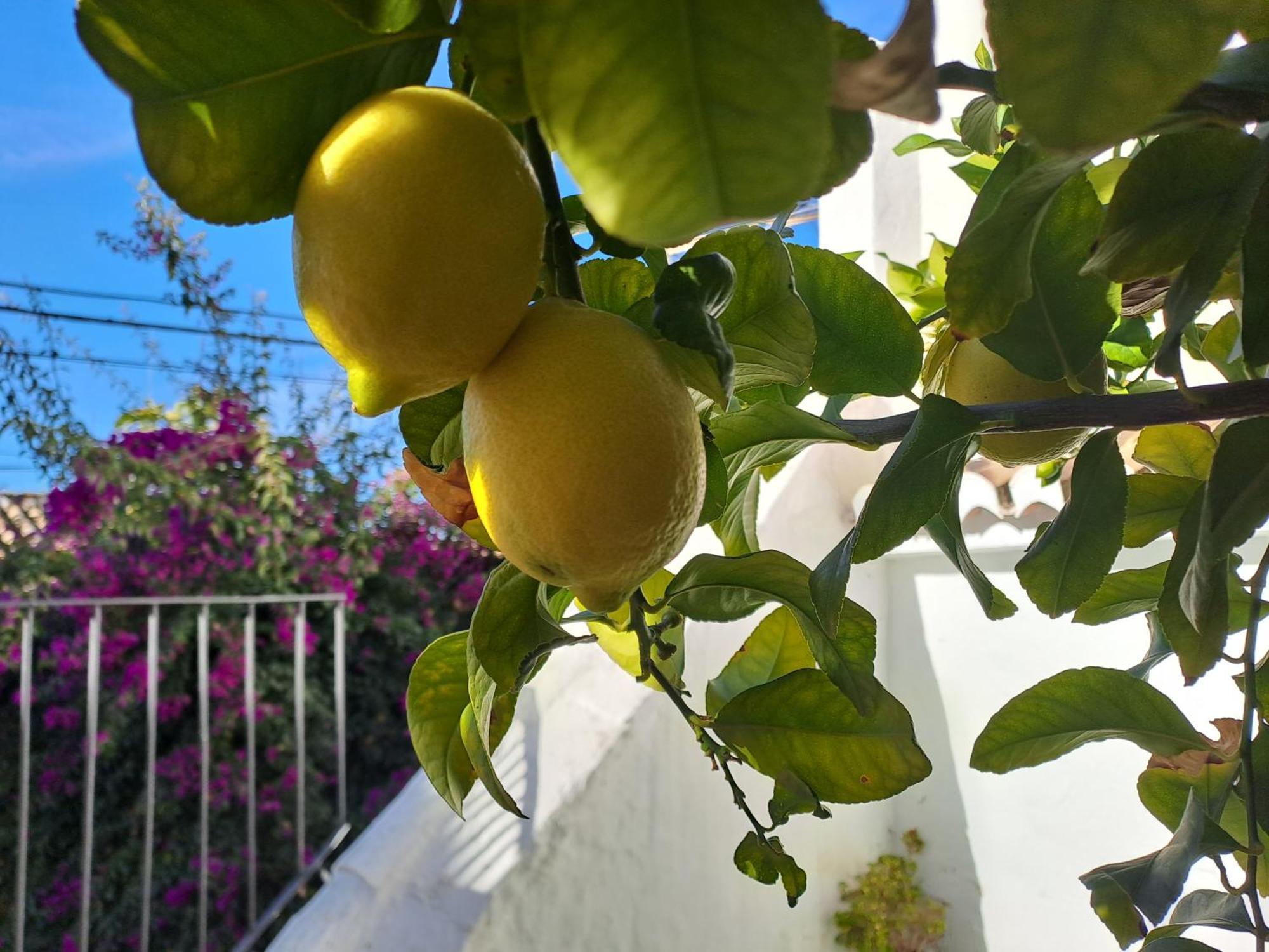 Apartmán Casa Alhambra - Centro Historico Con Jardin Privado Granada Exteriér fotografie
