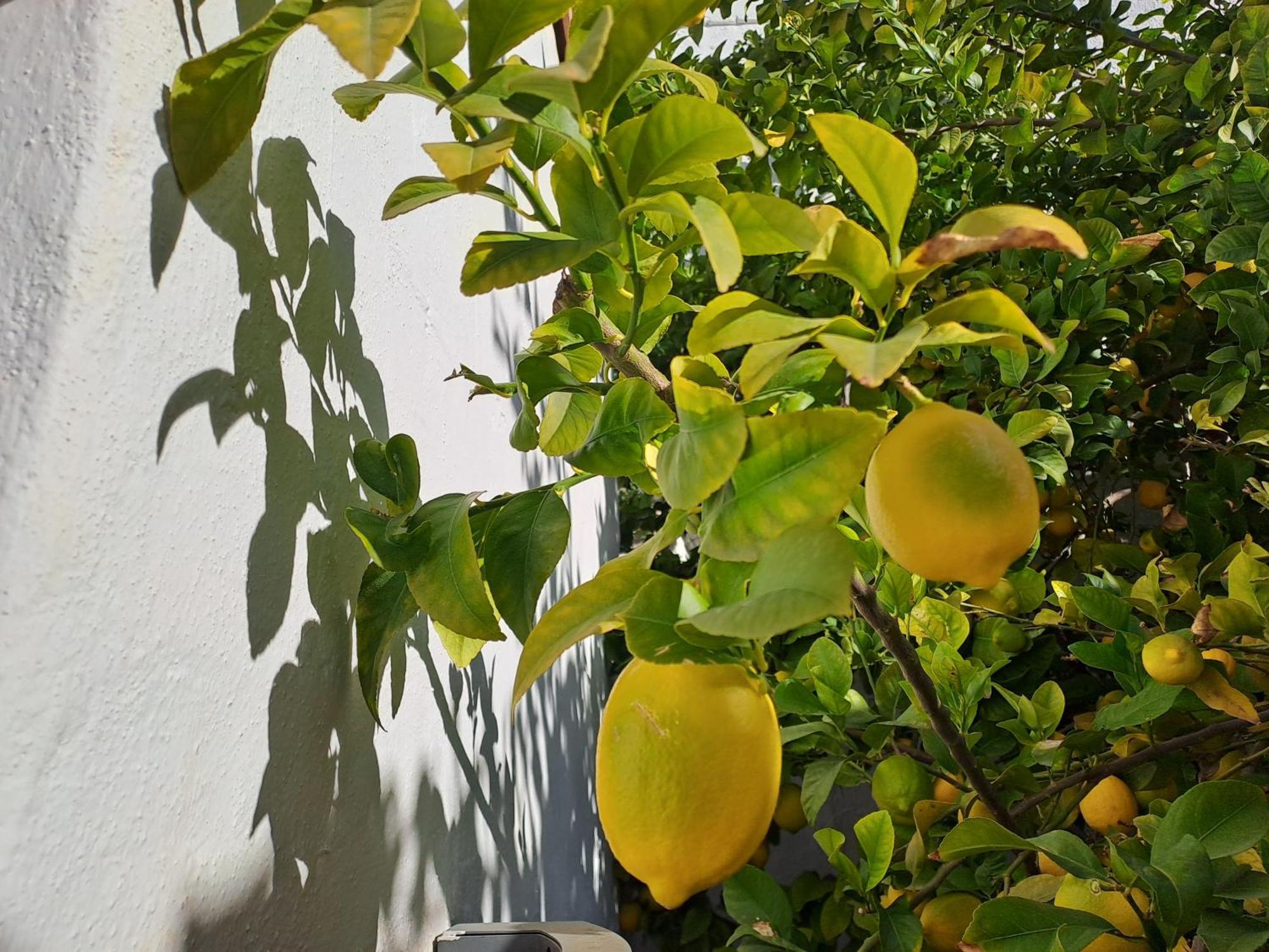 Apartmán Casa Alhambra - Centro Historico Con Jardin Privado Granada Exteriér fotografie