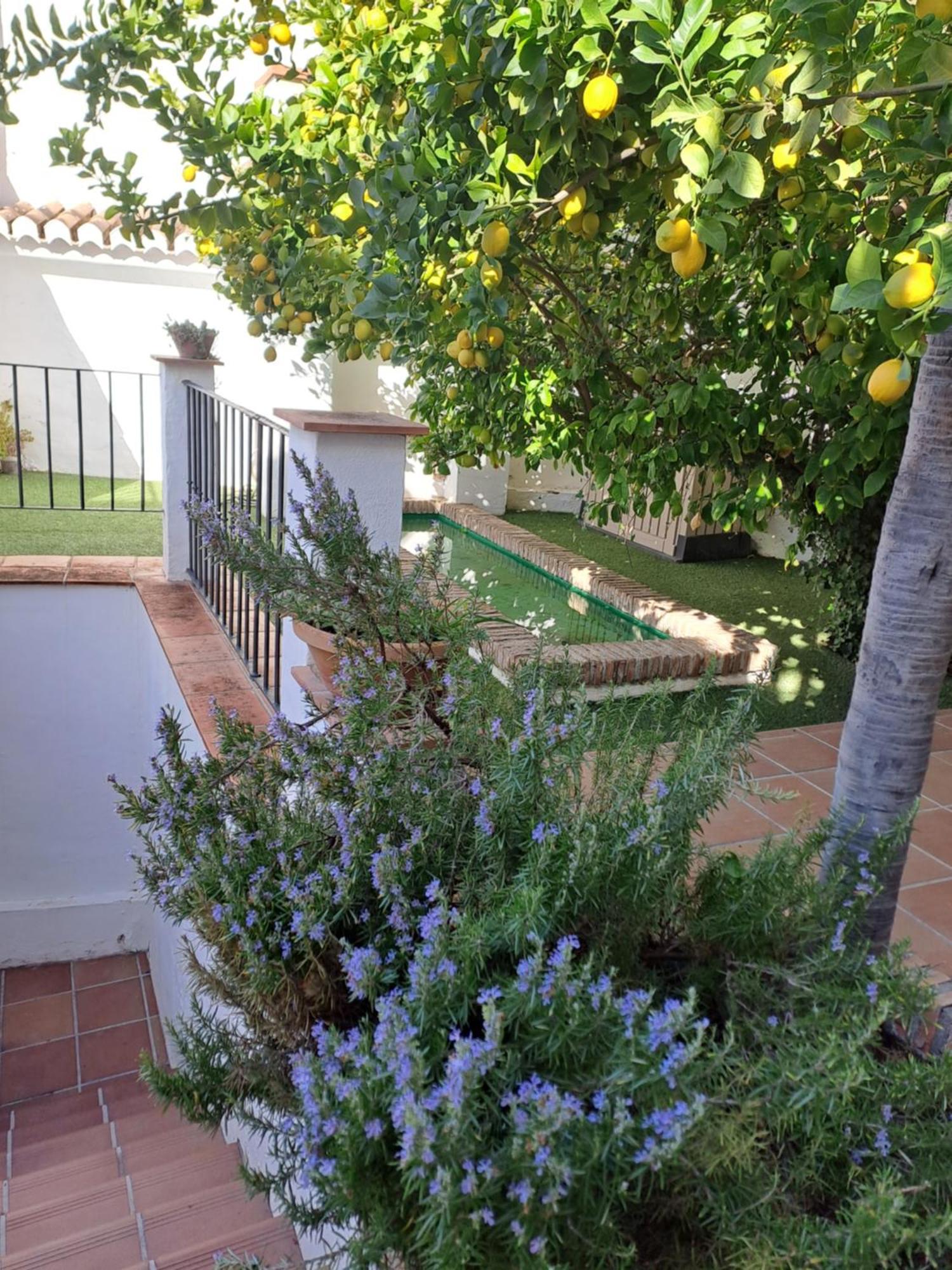 Apartmán Casa Alhambra - Centro Historico Con Jardin Privado Granada Exteriér fotografie