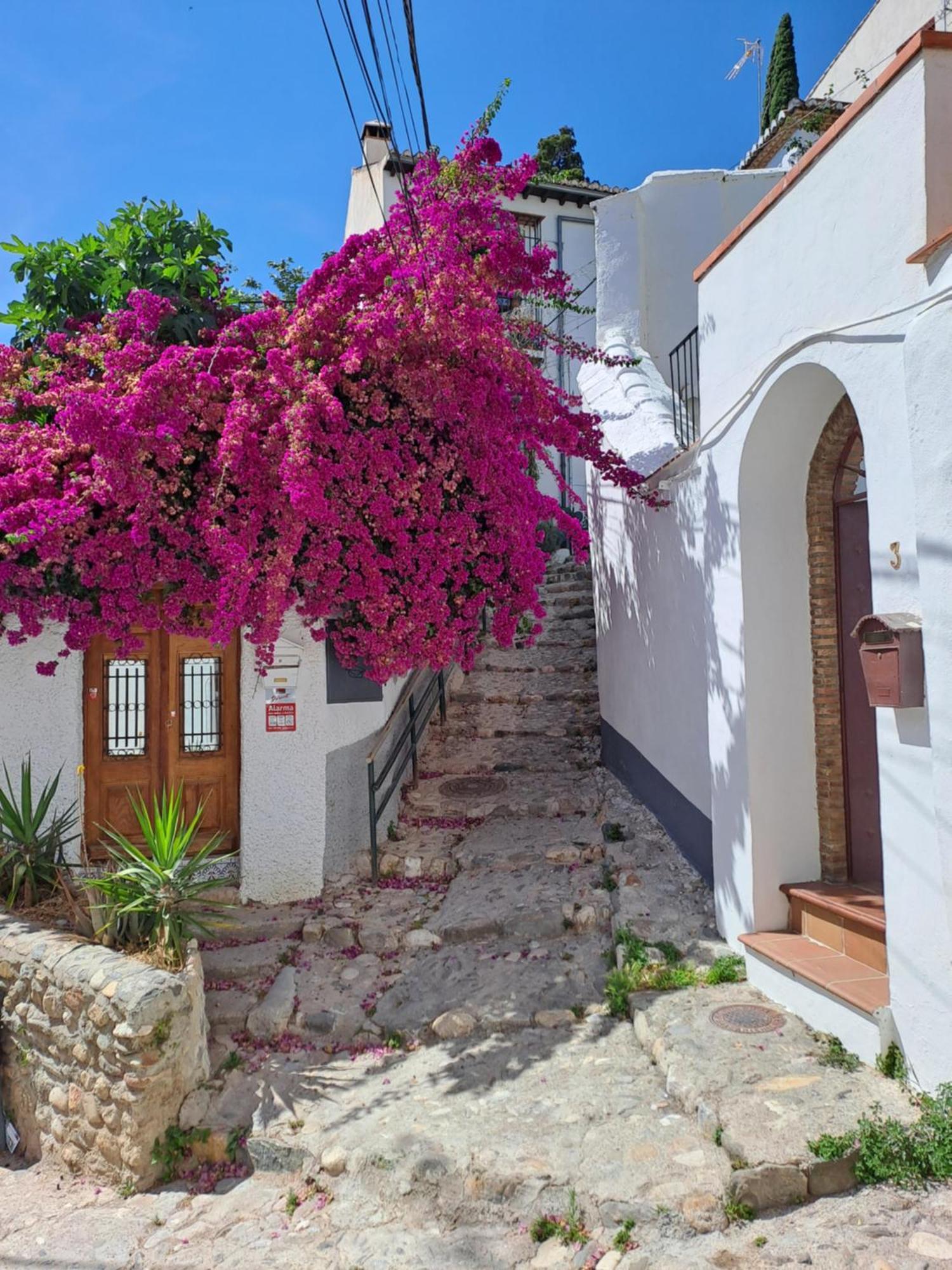 Apartmán Casa Alhambra - Centro Historico Con Jardin Privado Granada Exteriér fotografie